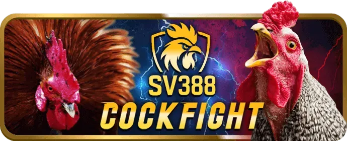 Quy trình đăng ký tài khoản fi79 win